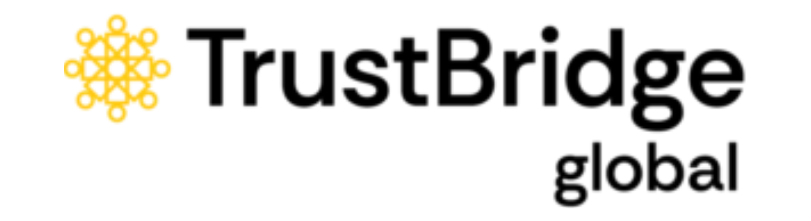 The Trust Bridge Foundation